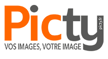 PICTY LOGO